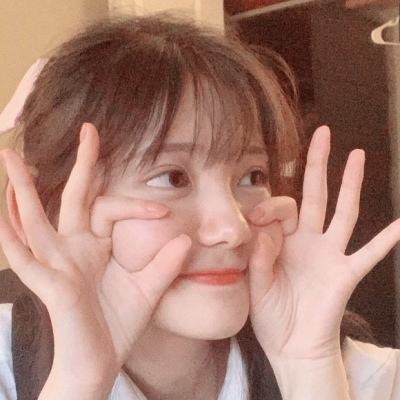 九游文鸟恋爱物语手游下载